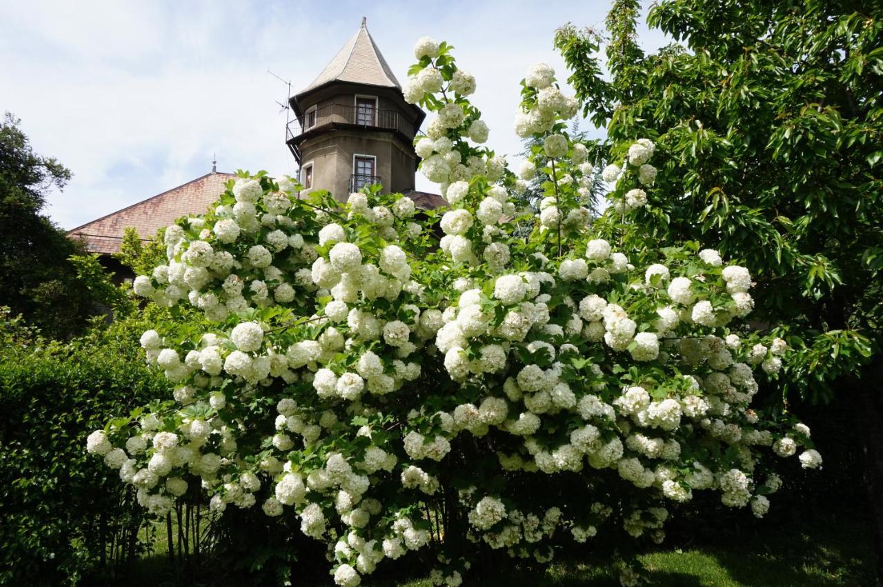 Chateau Du Vigny - Maison D'Hotes Сен-Мішель-де-Мор'єн Екстер'єр фото